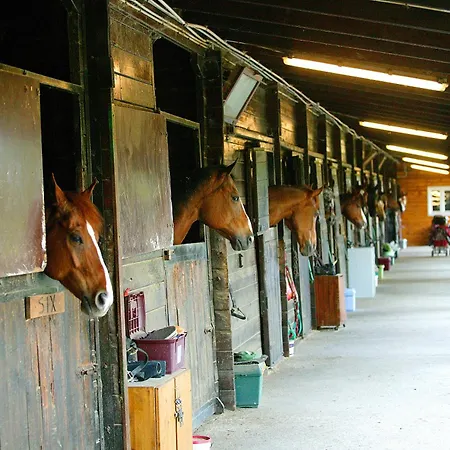 Szálloda Tenuta Il Burchio 3*